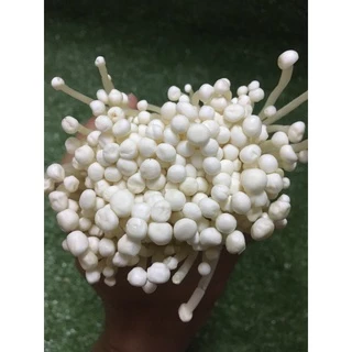เห็ดเข็มทองสด 🍄 - เห็ดหอมอร่อย ผักผลไม้