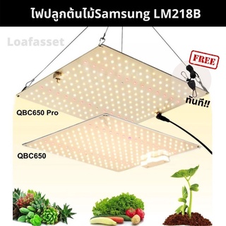 🔥พร้อมส่ง🔥 ไฟปลูกต้นไม้ LED LM281B Quantum 650W Full Spectrum grow light ปลูกพืช