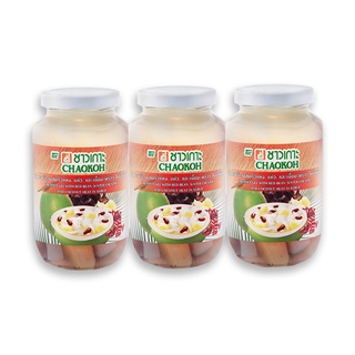 ชาวเกาะ วุ้นมะพร้าวถั่วแดง+แห้วในน้ำเชื่อม 500 กรัม x 3 ขวด CHAOKOH Coconut Jelly + Bean in Syrup 500 g x 3 Cans