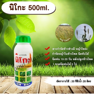 นิโกะ 500ml. นิโคซัลฟูรอน กำจัดหญ้า ในข้าวโพด กำจัดข้าวฟ่างผี หญ้าโขย่ง หญ้าปากควายาย หญ้าตี