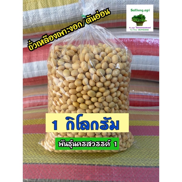 ถั่วเหลืองดิบเต็มเมล็ด 1 กิโลกรัม มี 2แบบ 1.เพาะงอก/ปลูกเป็นถั่วแระ 2.แบบทำอาหาร 3.ถั่วแระญี่ปุ่น