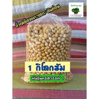 ถั่วเหลืองดิบเต็มเมล็ด 1 กิโลกรัม มี 2แบบ 1.เพาะงอก/ปลูกเป็นถั่วแระ 2.แบบทำอาหาร 3.ถั่วแระญี่ปุ่น