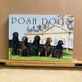 ช009 POSH DOGS english book