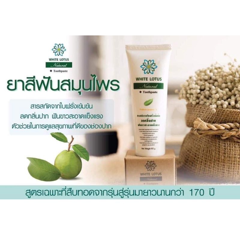 ยาสีฟัน ตราไวท์โลตัส (WHITE LOTUS TOOTHPASTE) 80 g.