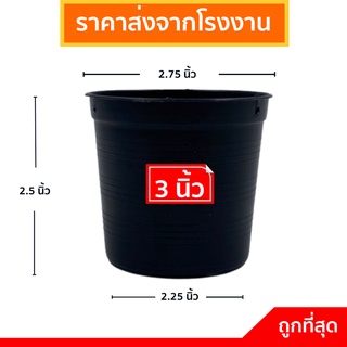 กระถางต้นไม้พลาสติก กระถางต้นไม้ กระถาง สีดำ 3 นิ้ว แพ็ค 50 ใบ