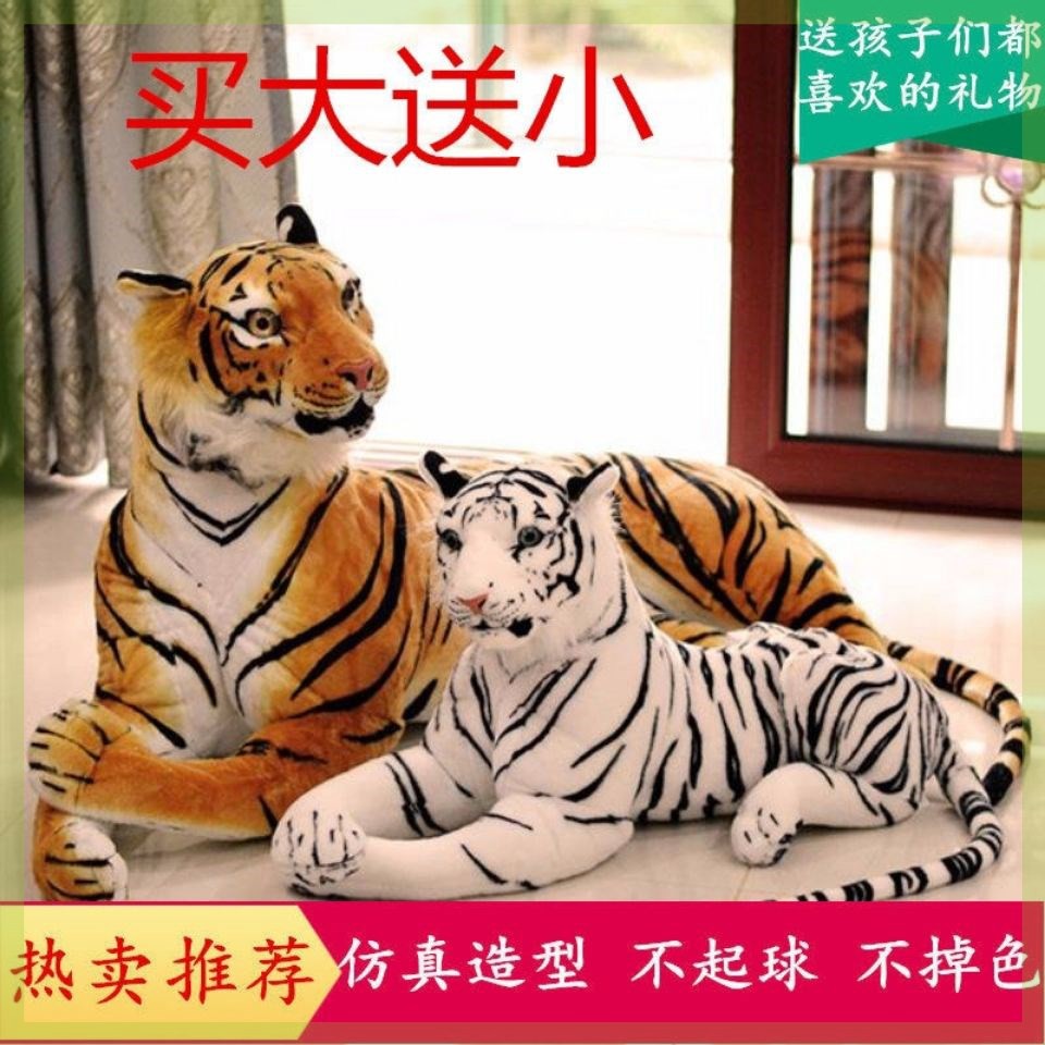 My Image 73