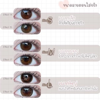 💥[ แถมตลับ Food grade ] Olivia (Light brown) ค่าสายตา 0.00-10.00 คอนแทคเลนส์