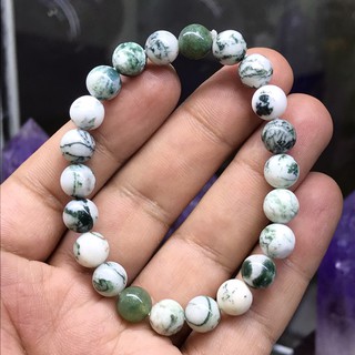 กำไรข้อมือหินแท้ กำไรหิน Tree agate ขนาด 8 มิล