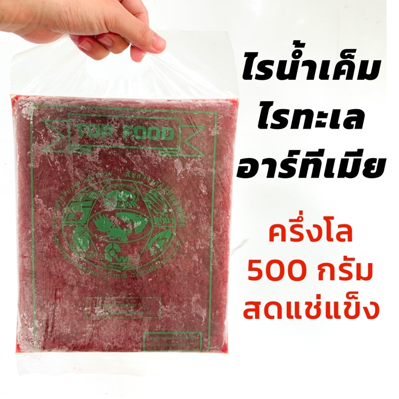 (6ฟรี2-8ฟรี3) พร้อมส่ง‼️ ไรน้ำเค็ม ไรทะเลแช่แข็ง อาร์ทีเมีย The green fish แบบถุงครึ่งโล 500กรัม 🐠 ‼️อาหารปลาสวยงาม