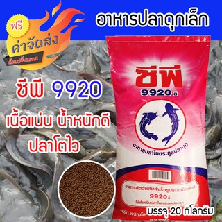 ***ส่งฟรี*** อาหารปลาดุก ซีพี 9920 อาหารลูกปลาดุก อาหารปลาดุกเล็ก 20 กิโลกรัม ลูกปลาดุกโตไว ได้น้ำหนัก