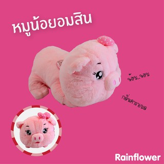 🐷✨หมูออมสิน  (นาโนกลิ่นวนิลา)  แบรนด์ Rainflower 🐷✨