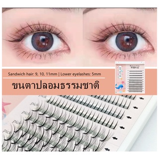 ขนตาปลอมธรรมชาติ พร้อมส่ง โค้ง: ตัว C /60pcsขนตาปลอม+80pcsขนตาล่าง