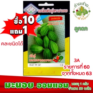 (ซื้อ10แถม1) เมล็ดพันธุ์ มะนอย ออมแอม mini square zucchini ประมาณ 30เมล็ด 3A สามเอ ผักสวนครัว เมล็ดพันธุ์พืช เมล็ดผัก