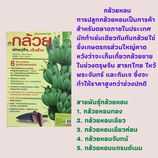 หนังสือเกษตร กล้วยเศรษฐกิจเงินล้าน : กล้วยไข่, วิธีการปลูกกล้วยไข่, กล้วยน้ำว้า, วิธีการปลูกกล้วยน้ำว้า, กล้วยหอม