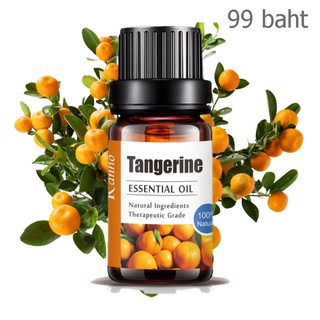 Aliztar 100% Pure Tangerine Essential Oil 10 ml. น้ำมันหอมระเหยส้มเขียวหวานแท้ สำหรับอโรมาเทอราพี เตาอโรมา เครื่องพ่น...