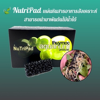 แผ่นหิน NutriPad สารอาหารสังเคราะห์เข้มข้นสำหรับต้นไม้น้ำ สามารถนำมาพันต้นไม้น้ำได้ บูเซป Bucep อนูเบียส  Anubias เฟิร์น