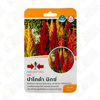 🌱 ศรแดง 🇹🇭 สร้อยไก่ ปาโกด้า มิกซ์ ขนาดบรรจุประมาณ 30 เมล็ด อายุเก็บเกี่ยว 55-60 วัน