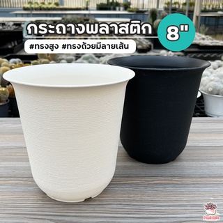 กระถางพลาสติก 8 นิ้ว #ทรงสูง #ทรงถ้วยมีลายเส้น กระถางพลาสติก กระถางแคคตัส กระถางกระบองเพชร