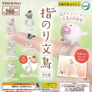 **พร้อมส่ง**กาชาปองแหวานนกกระจิบนกกระจอก Yubinori Java Sparrow ของแท้