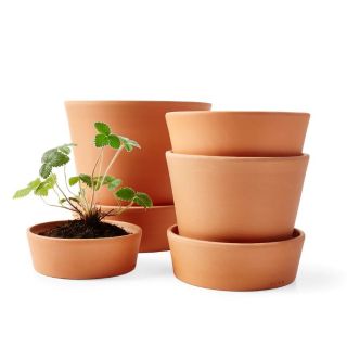 Plant pot with saucer กระถางต้นไม้ กระถางดอกไม้ Flower pot กระถางดินเผา INGEFÄRA กระถางดินแดง กระถางพร้อมจานรองดินเผา