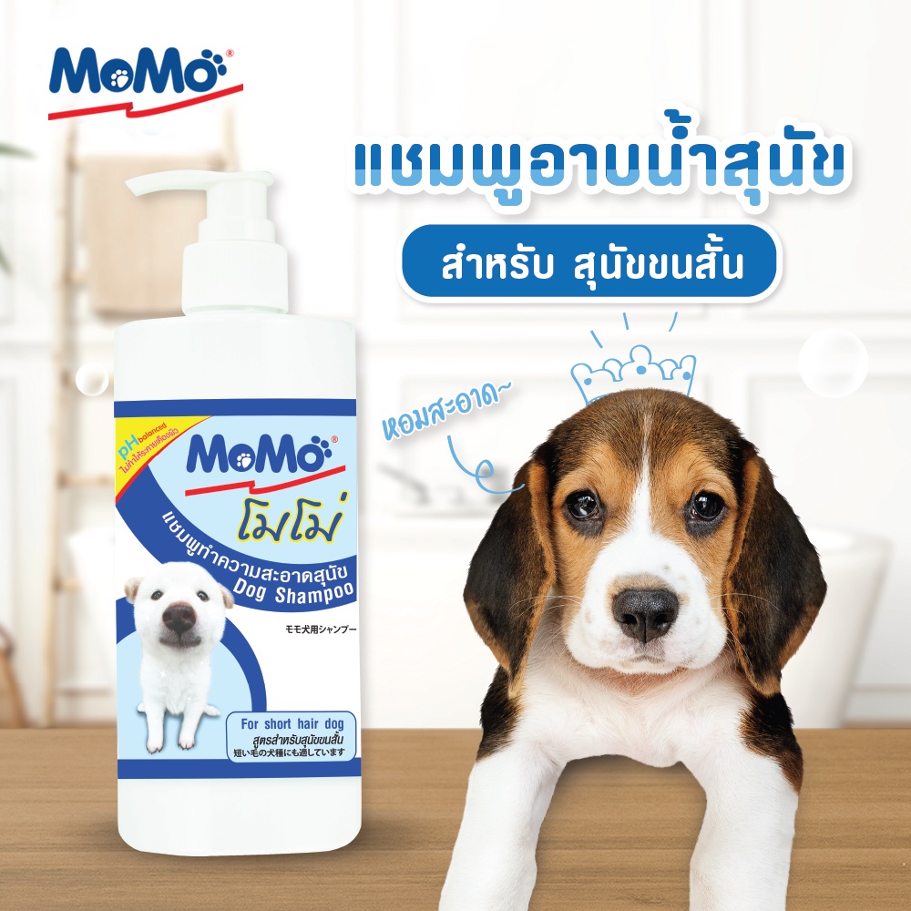 Momo 𝗦𝗛𝗔𝗠𝗣𝗢𝗢 แชมพูสุนัข สูตรสำหรับสุนัขขนสั้น✨ | Shopee Thailand