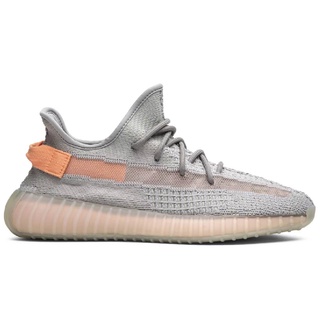 adidas Yeezy Boost 350 V2 True Form