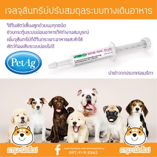 *ท้องเสีย ปรับสมดุล* Benebac plus gel 30 g. เจลจุลินทรีย์ปรับสมดุลระบบทางเดินอาหาร และเสริมภูมิคุ้มกัน