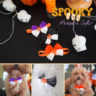 ปลอกคอสัตว์เลี้ยง หมาเเละเเมว MOONIES PET007: Spooky BOO