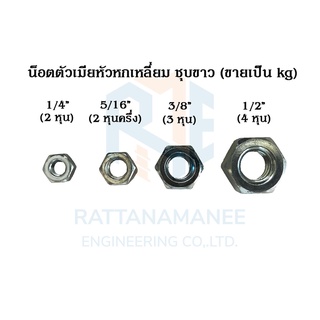 น็อตตัวเมีย หัวน็อต หัวหกเหลี่ยม ชุบขาว 1/4" 5/16" 3/8" 1/2" (ขายเป็นกิโลกรัม)