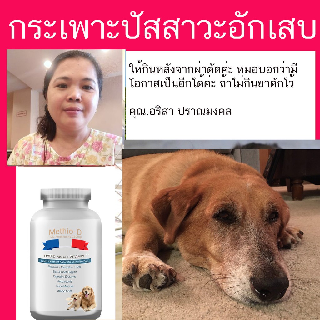 My Image 11