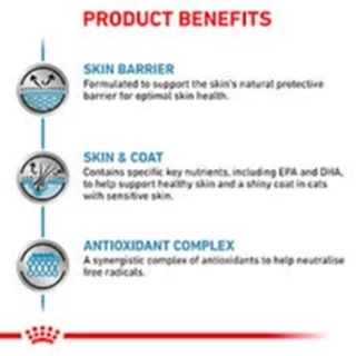 Royal Canin Skin & Coat pouch 85 g อาหารเปียกสำหรับแมวผิวหนังแพ้ง่าย บำรุงเส้นขนและเสริมสร้างผิวหนัง 85 กรัม 12 ซอง