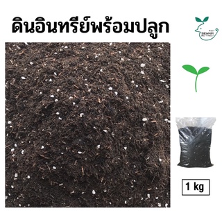 ดินอินทรีย์พร้อมปลูก 1kg