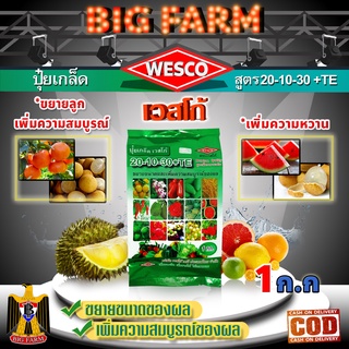 บรรจุ 1 กิโลกรัม WESCO ปุ๋ย 20-10-30 +TE (ธาตุรองเสริม) ปุ๋ยเกล็ด ปุ๋ยเกร็ด เวสโก้ ขยายขนาดและเพิ่มความสมบูรณ์ของผล