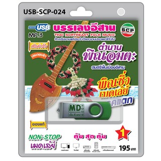 MP3 Flashdrive เสียง พิณซิ่ง เมดเล่ย์ เบรคแตก ชุด 1