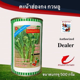 เมล็ดพันธุ์ คะน้าฮ่องกงกวนอู 500g