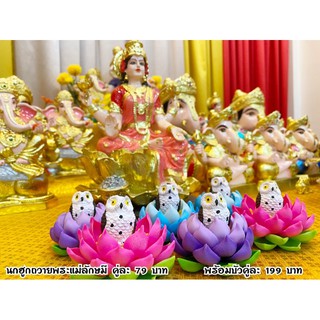 นกฮูกพระแม่ลักษมีพร้อมบัวคู่ละ199บาท