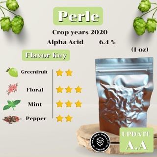 Perle Hops (1oz)  Crop years 2020  (บรรจุด้วยระบบสูญญากาศ)