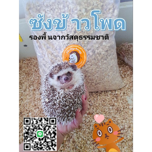 ซังข้าวโพด รองพื้น งู และสัตว์เลี้ยง 1 KG. จัดส่งด่วนทุกวัน &มีเก็บเงินปลายทาง