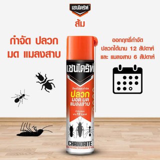 เชนไดร้ท์ 1 สเปรย์กำจัดปลวก มอด  มด แมลงสาบ กำจัดปลวกนาน 12 สัปดาห์ มี 3 ขนาด