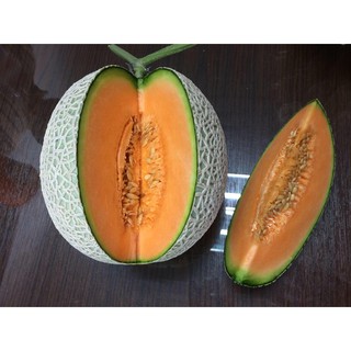 เมล็ดพันธุ์ เมล่อน ฮันนี่ร็อค 40 เมล็ด Honey Rock Melon Seed เมล็ดพันธุ์แท้100% นำเข้าจากต่างประเทศ ปลูกผัก สวนครัว ถูก