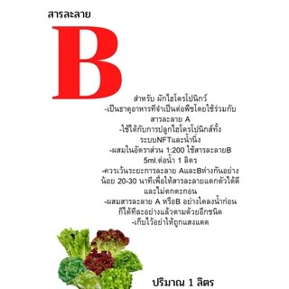 ปุ๋ย AB ชุด A 1ลิตร B 1ลิตร สารละลาย AB สำหรับปลูกผักไฮโดรโปนิกส์