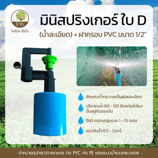 มินิสปริงเกอร์ ใบD+ฝาครอบ PVC ขนาด1/2 - โตไว