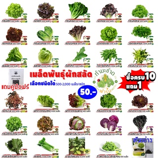 (มีคู่มือ 10แถม1) ซอง500-2,000เมล็ด เมล็ดพันธุ์ ผักสลัด ทำมะชาดฟาร์ม กรีนโอ๊ค คอส ฟิลเลย์ สลัดแก้ว ผักกาดหอม ไฮโดรโปรนิก