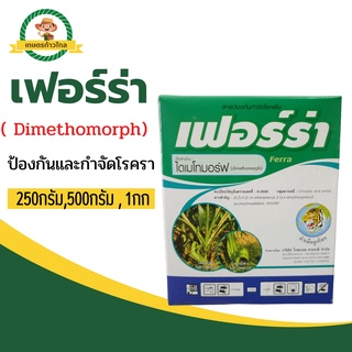 🔺 เฟอร์ร่า ( Dimethomorph) ป้องกันและกำจัดโรครา