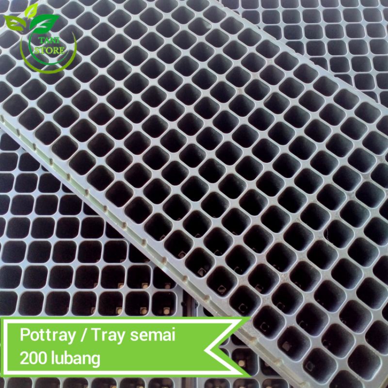 ถาดเพาะกล้า 200 หลุม กระถาง