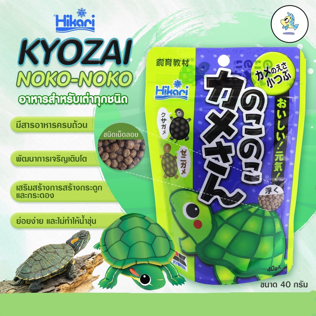 Hikari KYOZAI 🐢 NOKO NOKO 🐢 40g อาหารเต่า ฮิคาริ โนโกะ