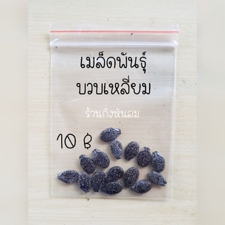 บวบเหลี่ยม เมล็ดพันธ์บวบเหลี่ยม10฿