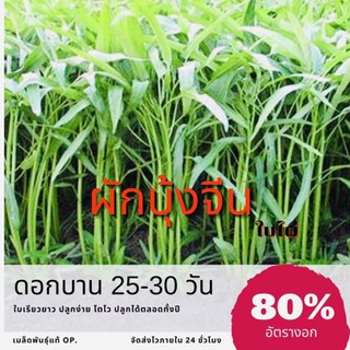 เมล็ดพันธุ์ ผักบุ้งจีน 20 กรัม Water convolvulus ผักบุ้ง ✅ราคาถูก🪴ปลูกง่าย ปลูกไว้ทานกินเอง🔥ซื้อ10แถม1 คละได้🔥