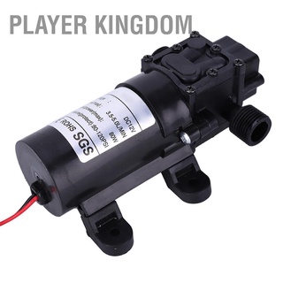 Player Kingdom ไดอะแฟรมปั๊มน้ํา ไหลย้อนกลับ ขนาดเล็ก Dc12V Fl3210H-80W 1/2 นิ้ว