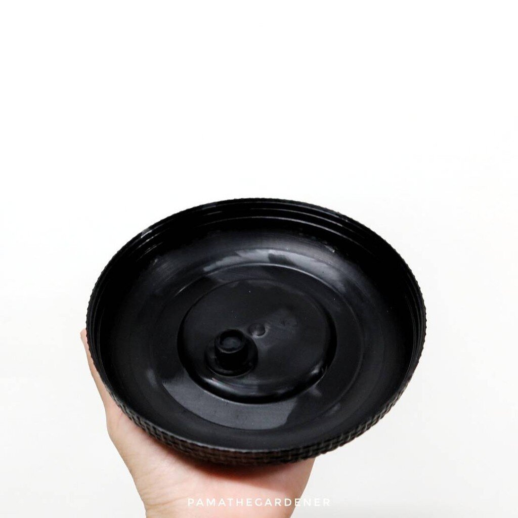 มุมมอง 6